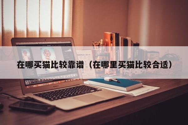 在哪买猫比较靠谱（在哪里买猫比较合适）