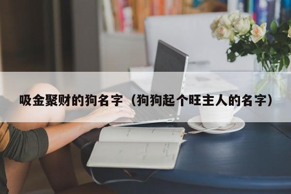 吸金聚财的狗名字（狗狗起个旺主人的名字）