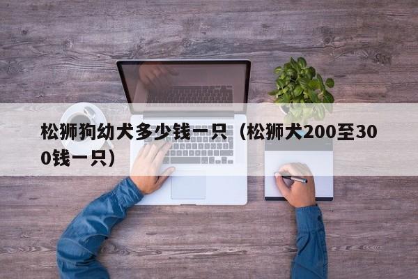 松狮狗幼犬多少钱一只（松狮犬200至300钱一只）