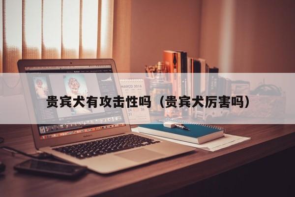 贵宾犬有攻击性吗（贵宾犬厉害吗）