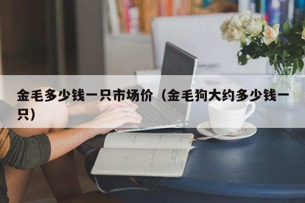 金毛多少钱一只市场价（金毛狗大约多少钱一只）