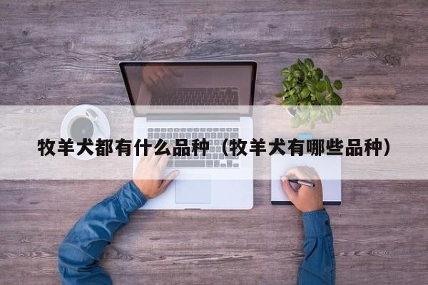 牧羊犬都有什么品种（牧羊犬有哪些品种）