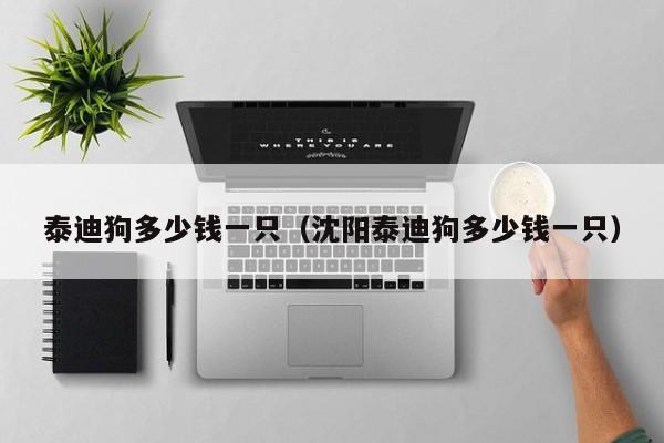 泰迪狗多少钱一只（沈阳泰迪狗多少钱一只）