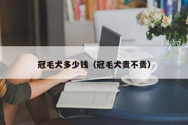 冠毛犬多少钱（冠毛犬贵不贵）