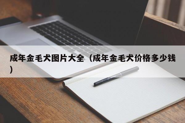 成年金毛犬图片大全（成年金毛犬价格多少钱）