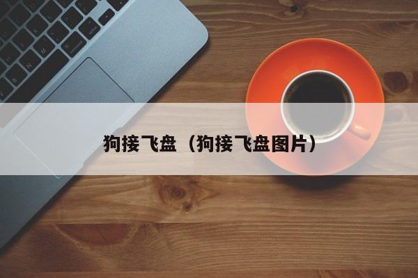 狗接飞盘（狗接飞盘图片）