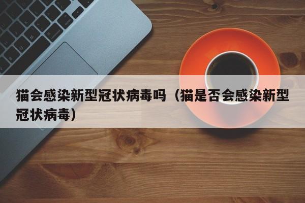 猫会感染新型冠状病毒吗（猫是否会感染新型冠状病毒）