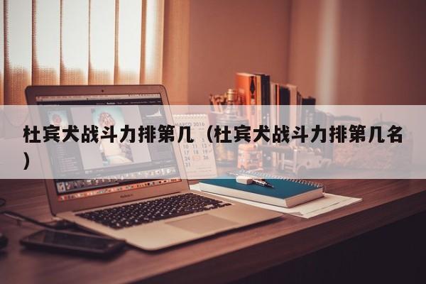 杜宾犬战斗力排第几（杜宾犬战斗力排第几名）