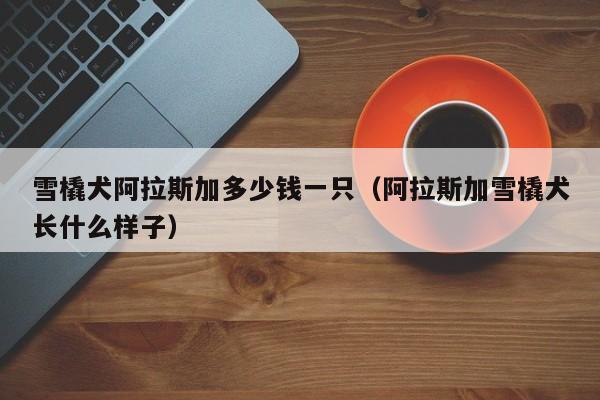 雪橇犬阿拉斯加多少钱一只（阿拉斯加雪橇犬长什么样子）