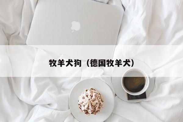 牧羊犬狗（德国牧羊犬）
