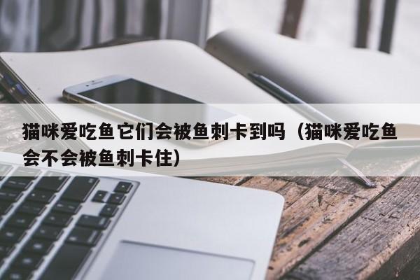 猫咪爱吃鱼它们会被鱼刺卡到吗（猫咪爱吃鱼会不会被鱼刺卡住）