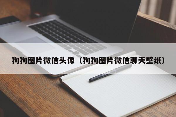 狗狗图片微信头像（狗狗图片微信聊天壁纸）
