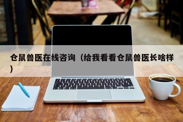 仓鼠兽医在线咨询（给我看看仓鼠兽医长啥样）
