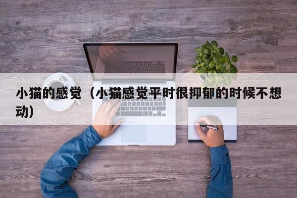 小猫的感觉（小猫感觉平时很抑郁的时候不想动）