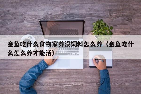 金鱼吃什么食物家养没饲料怎么养（金鱼吃什么怎么养才能活）