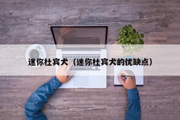迷你杜宾犬（迷你杜宾犬的优缺点）