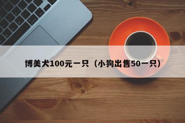 博美犬100元一只（小狗出售50一只）
