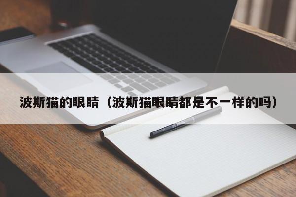 波斯猫的眼睛（波斯猫眼睛都是不一样的吗）