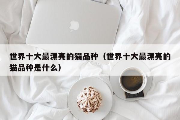世界十大最漂亮的猫品种（世界十大最漂亮的猫品种是什么）