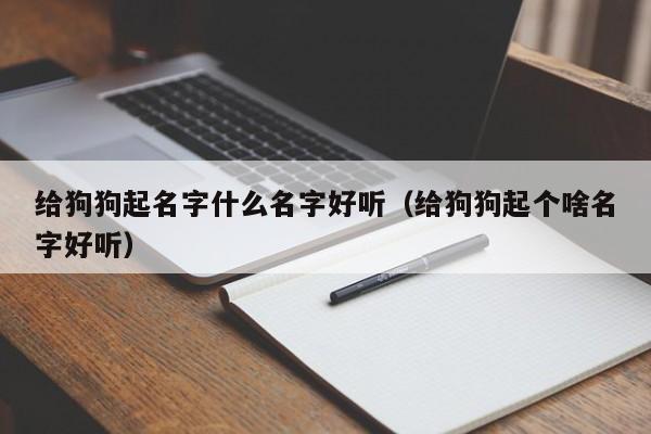 给狗狗起名字什么名字好听（给狗狗起个啥名字好听）