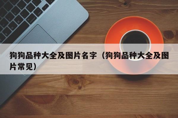 狗狗品种大全及图片名字（狗狗品种大全及图片常见）