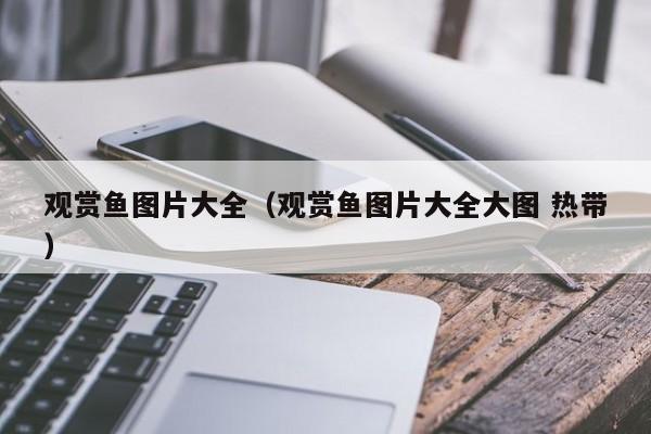 观赏鱼图片大全（观赏鱼图片大全大图 热带）