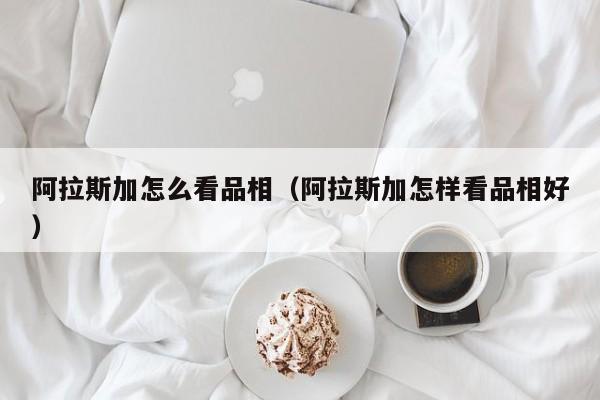 阿拉斯加怎么看品相（阿拉斯加怎样看品相好）