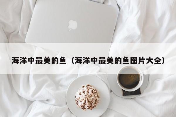 海洋中最美的鱼（海洋中最美的鱼图片大全）