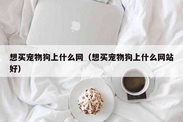 想买宠物狗上什么网（想买宠物狗上什么网站好）