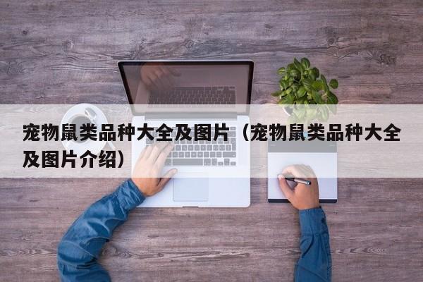 宠物鼠类品种大全及图片（宠物鼠类品种大全及图片介绍）