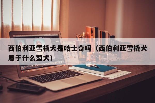 西伯利亚雪橇犬是哈士奇吗（西伯利亚雪橇犬属于什么型犬）