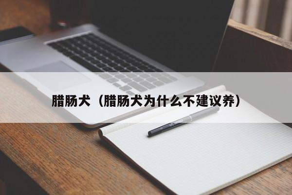腊肠犬（腊肠犬为什么不建议养）