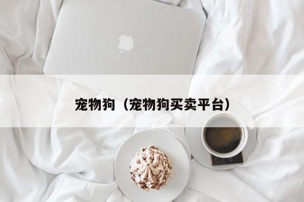 宠物狗（宠物狗买卖平台）