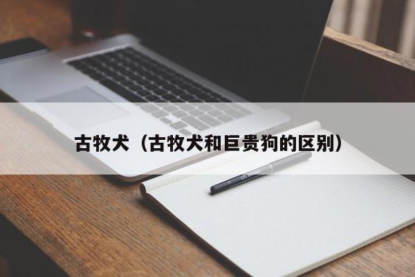 古牧犬（古牧犬和巨贵狗的区别）