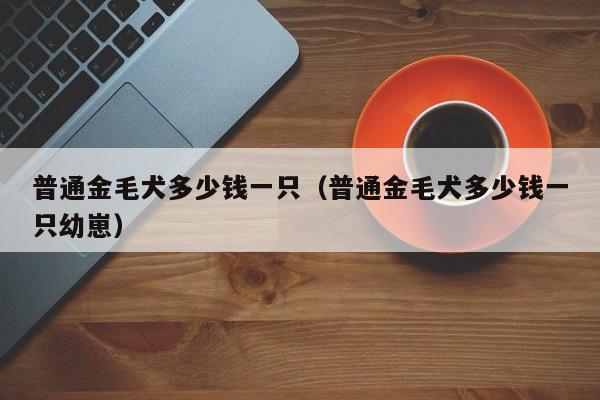 普通金毛犬多少钱一只（普通金毛犬多少钱一只幼崽）