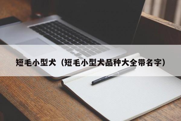 短毛小型犬（短毛小型犬品种大全带名字）