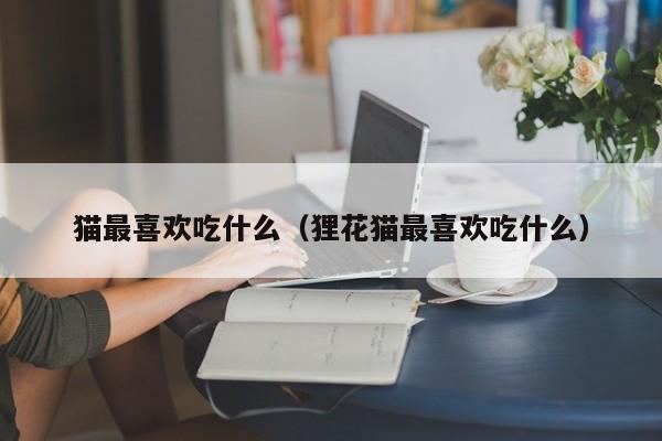 猫最喜欢吃什么（狸花猫最喜欢吃什么）