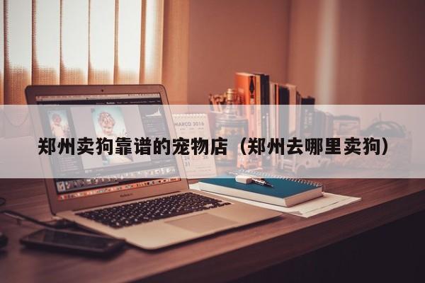 郑州卖狗靠谱的宠物店（郑州去哪里卖狗）