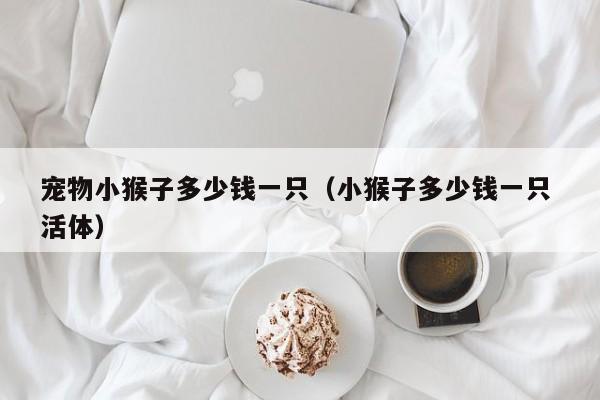 宠物小猴子多少钱一只（小猴子多少钱一只 活体）