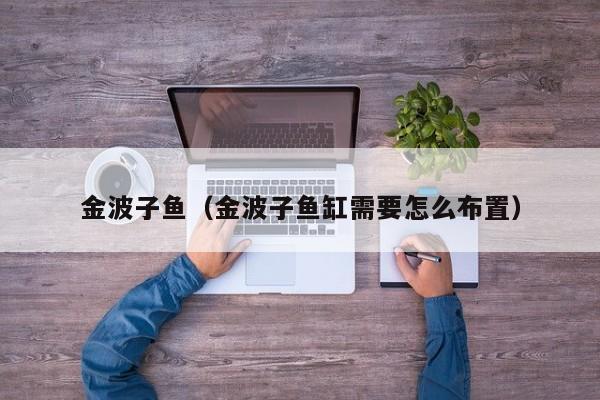 金波子鱼（金波子鱼缸需要怎么布置）