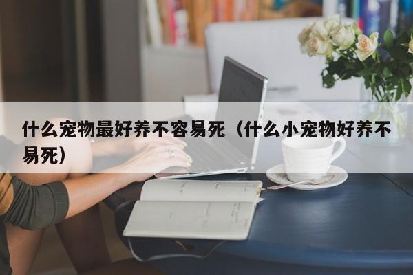 什么宠物更好养不容易死（什么小宠物好养不易死）