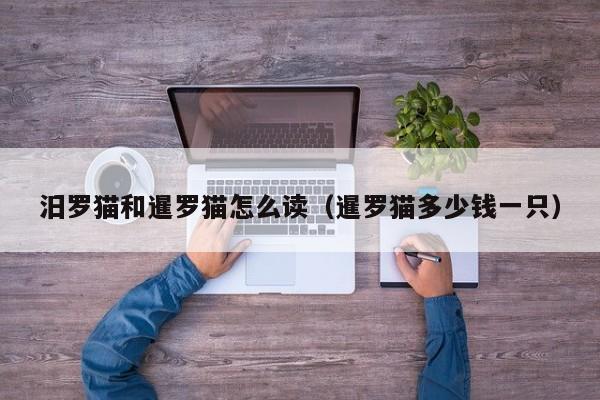 汨罗猫和暹罗猫怎么读（暹罗猫多少钱一只）