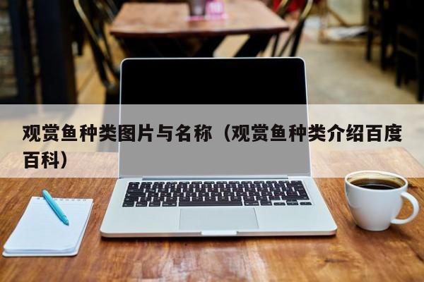 观赏鱼种类图片与名称（观赏鱼种类介绍百度百科）