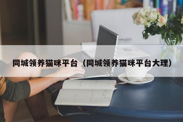 同城领养猫咪平台（同城领养猫咪平台大理）