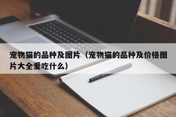 宠物猫的品种及图片（宠物猫的品种及价格图片大全爱吃什么）