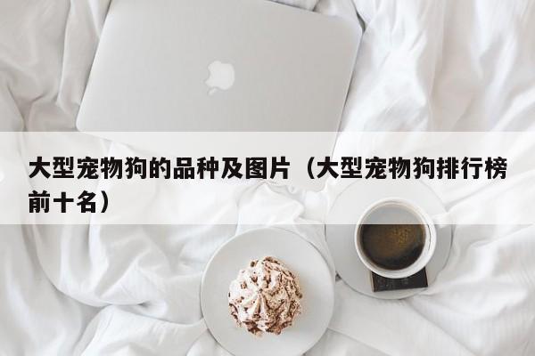 大型宠物狗的品种及图片（大型宠物狗排行榜前十名）