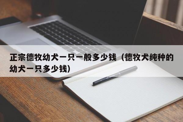 正宗德牧幼犬一只一般多少钱（德牧犬纯种的幼犬一只多少钱）