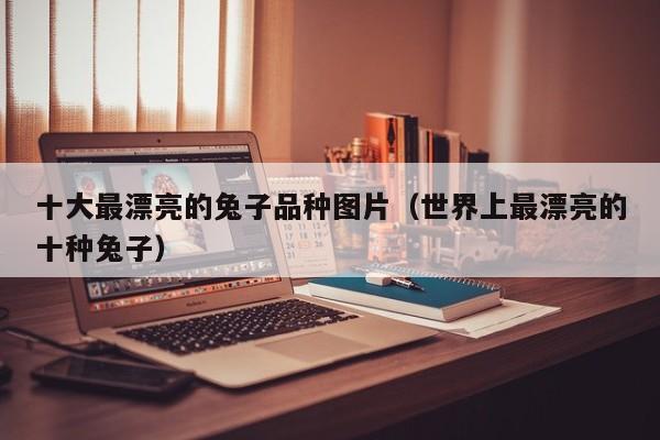 十大最漂亮的兔子品种图片（世界上最漂亮的十种兔子）