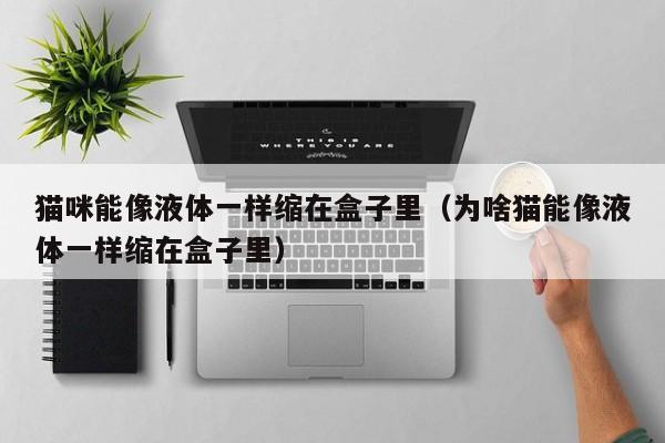猫咪能像液体一样缩在盒子里（为啥猫能像液体一样缩在盒子里）