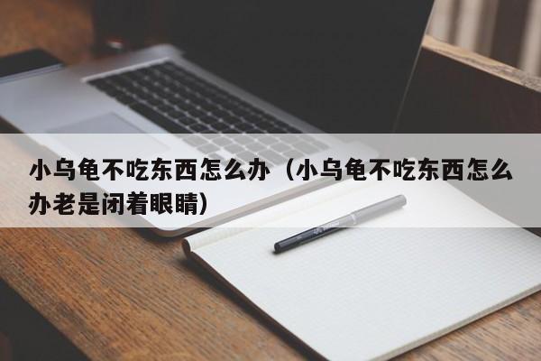 小乌龟不吃东西怎么办（小乌龟不吃东西怎么办老是闭着眼睛）